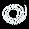 Natural Trochid Shell/Trochus Shell Beads Strands SSHEL-S266-017A-2
