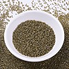MIYUKI Delica Beads SEED-X0054-DB0288-2