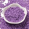 Baking Paint Glass Seed Beads SEED-K009-01B-11-2