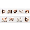 Cat Paper Stickers DIY-M071-03A-2