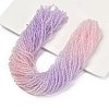 Transparent Painted Glass Beads Strands LS-DGLA-A034-T2mm-A05-1