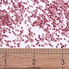 MIYUKI Delica Beads SEED-X0054-DB0282-4