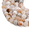 Natural Agate(Dyed & Heated) Beads Strands G-K425-B09-01-3