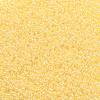TOHO Round Seed Beads SEED-JPTR11-0902-2