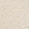 11/0 Grade A Round Glass Seed Beads SEED-N001-E-436-2