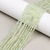 Natural Prehnite Beads Strands G-C255-B03-2mm-1