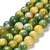 Dyed Natural Agate Beads Strands G-G203-09G-10mm-2