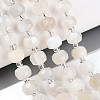 Natural White Moonstone Beads Strands G-N327-08A-09-1