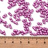 Baking Paint Glass Seed Beads SEED-L011-12A-12-4