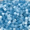 Glass Seed Beads X1-SEED-H002-D-A811-3