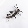 Grasshopper Alloy Rhinestone Brooches PW-WG09710-01-4