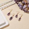Natural Gemstone Irregular Nuggets Dangle Earrings EJEW-JE05018-5