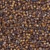 MIYUKI Delica Beads X-SEED-J020-DB1691-3