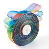 BEADTHOVEN Polyester Organza Ribbons ORIB-BT0001-02-11