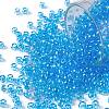 TOHO Round Seed Beads SEED-TR08-0104-1