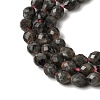 Natural Syenite Beads Strands G-K376-F09-01-4