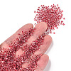 8/0 Transparent Glass Seed Beads SEED-F003-03B-03-4