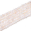 Natural Cultured Freshwater Pearl Beads Strands PEAR-N013-02I-01-5