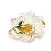 Transparent Resin Cabochons RE-CBA7537-01A-2