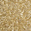 8/0 Glass Bugle Beads SEED-S032-07A-22-3