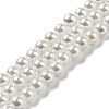 Electroplated Shell Pearl Beads Strands SHEL-F008-03A-01-1