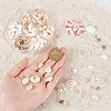 135Pcs 5 Size Natural Conch Shell Beads BSHE-PH0001-14-3