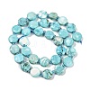 Dyed Natural Howlite Beads Strands G-C116-A63-01-3