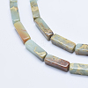 Natural Aqua Terra Jasper Beads Strands G-E444-15B-3