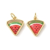 Brass Resin Charms KK-C110-24H-G-1