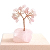 Natural Rose Quartz Sculpture Display Decorations PW-WGC5A46-01-1