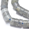 Natural Labradorite Beads Strand G-A177-01L-04-3