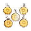 Natural Yellow Shell Carved Sunflower Pendants KK-D537-03P-01-1