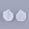 Transparent Acrylic Pendants FACR-T001-13-2