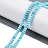 Dyed Natural Howlite Beads Strands G-H070-A03-01-2