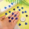 Glass Charms GLAA-TAC0012-28B-7
