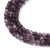 Transparent Glass Beads Strands X-GLAA-H027-01A-4