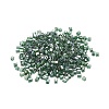 6/0 Glass Seed Beads SEED-YW0001-25F-2