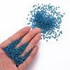 8/0 Transparent Glass Seed Beads SEED-S048-P-001-5