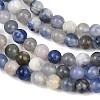 Natural Sodalite Round Bead Strands G-E334-4mm-08-9