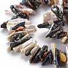 Natural Keshi Pearl Beads Strands PEAR-S021-079B-4