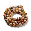 Natural Crazy Lace Agate Beads Strands G-E571-36B-3