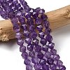 Natural Amethyst Beads Strands G-Z119-A40-02-1