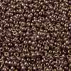 MIYUKI Round Rocailles Beads SEED-JP0009-RR2448-3