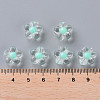 Transparent Acrylic Beads TACR-S152-06A-SS2111-4