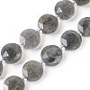 Natural Labradorite Beads Strands G-C116-A46-01-2