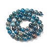 Natural Apatite Beads X-G-E481-05-8mm-01-3