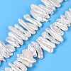 Natural Baroque Keshi Pearl Beads Strands PEAR-S020-H13A-2