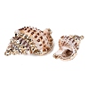 Electroplate Natural Spiral Shell Pendants SSHEL-Q100-40G-2