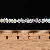 Transparent Glass Beads Strands EGLA-P061-04A-AB04-4