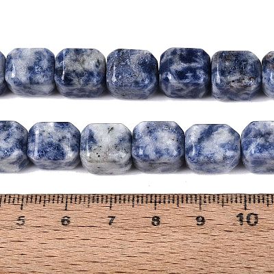 Natural Blue Spot Jasper Beads Strands G-Q608-10G-1